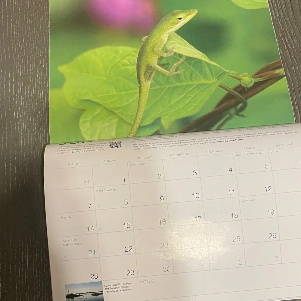 2026 Calendar - Nature Scenes